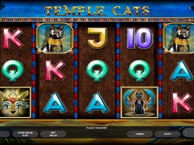Temple Cats